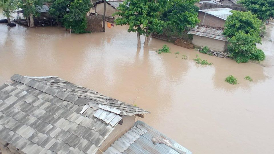 कैलालीमा परिरहेको भीषण वर्षाका कारण अहिलेसम्म ५ सयभन्दा बढी घर डुबानमा